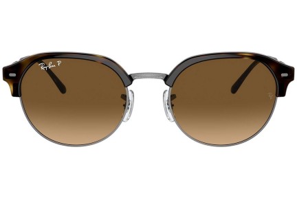 Sončna očala Ray-Ban RB4429 710/M2 Polarized Ovalna Havana