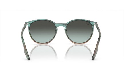 Sončna očala Ray-Ban RB2204 1394GK Okrogla Modra