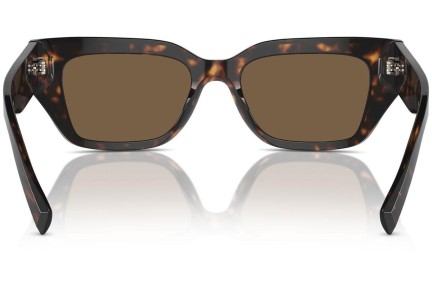 Sončna očala Dolce & Gabbana DG4462 502/73 Cat Eye Havana