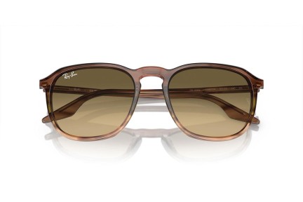 Sončna očala Ray-Ban RB2203 13920A Kvadratna Rjava