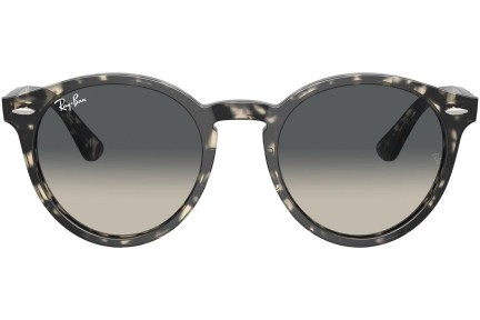 Sončna očala Ray-Ban Larry RB7680S 133371 Okrogla Siva