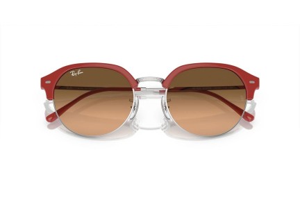 Sončna očala Ray-Ban RB4429 67223B Ovalna Srebrna