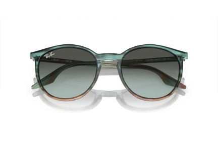 Sončna očala Ray-Ban RB2204 1394GK Okrogla Modra