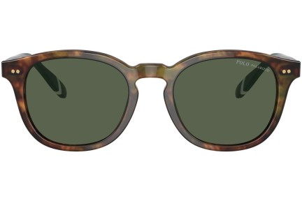 Sončna očala Polo Ralph Lauren PH4206 50179A Polarized Okrogla Rjava