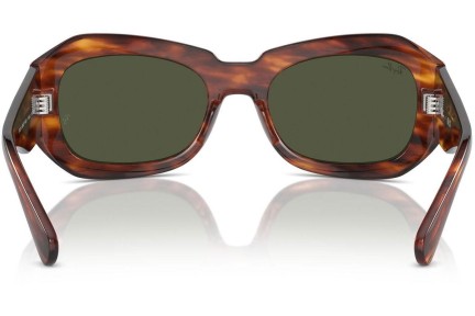 Sončna očala Ray-Ban RB2212 954/31 Ovalna Havana