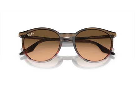 Sončna očala Ray-Ban RB2204 13953B Okrogla Rjava