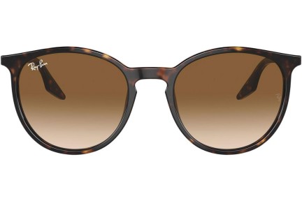 Sončna očala Ray-Ban RB2204 902/51 Okrogla Havana