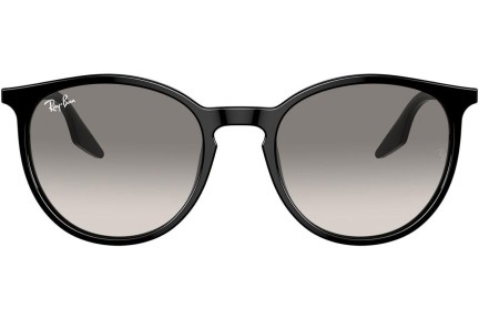 Sončna očala Ray-Ban RB2204 901/32 Okrogla Črna