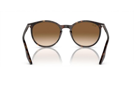 Sončna očala Ray-Ban RB2204 902/51 Okrogla Havana