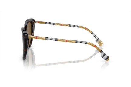 Sončna očala Burberry BE4407 385483 Polarized Cat Eye Havana