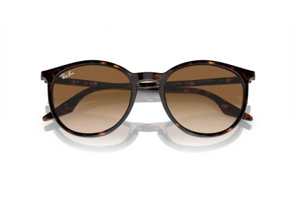 Sončna očala Ray-Ban RB2204 902/51 Okrogla Havana