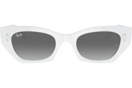 Sončna očala Ray-Ban RB4430 675911 Zgornji okvir Bela