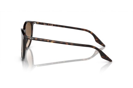 Sončna očala Ray-Ban RB2204 902/51 Okrogla Havana