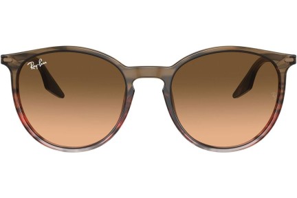 Sončna očala Ray-Ban RB2204 13953B Okrogla Rjava