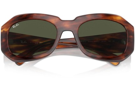 Sončna očala Ray-Ban RB2212 954/31 Ovalna Havana