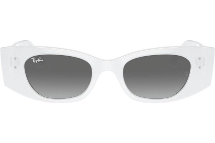 Sončna očala Ray-Ban RB4427 675911 Zgornji okvir Bela