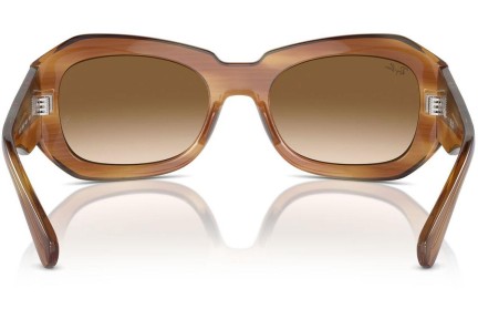 Sončna očala Ray-Ban RB2212 140351 Ovalna Rjava