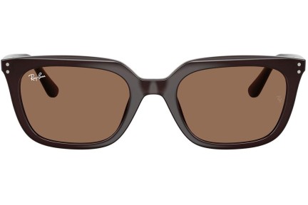 Sončna očala Ray-Ban RB4439D 623173 Kvadratna Rjava