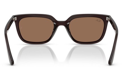 Sončna očala Ray-Ban RB4439D 623173 Kvadratna Rjava