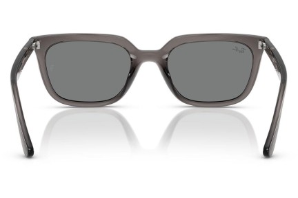 Sončna očala Ray-Ban RB4439D 667587 Kvadratna Siva