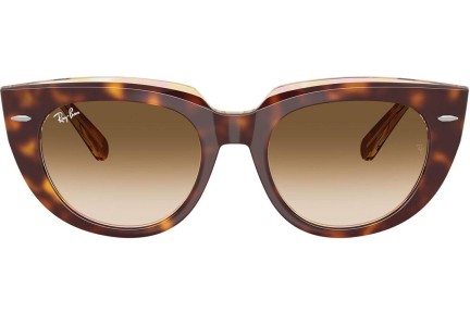 Sončna očala Ray-Ban RB2286 141451 Kvadratna Havana