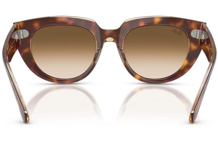 Sončna očala Ray-Ban RB2286 141451 Kvadratna Havana