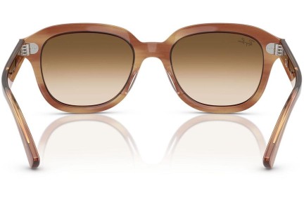 Sončna očala Ray-Ban Erik RB4398 140351 Kvadratna Rjava