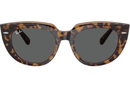 Sončna očala Ray-Ban RB2286 1292B1 Kvadratna Havana