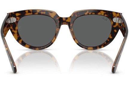 Sončna očala Ray-Ban RB2286 1292B1 Kvadratna Havana