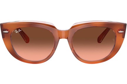 Sončna očala Ray-Ban RB2286 1415A5 Kvadratna Havana