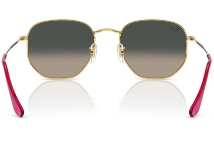 Sončna očala Ray-Ban Hexagonal RB3548N 001/71 Okrogla Zlata