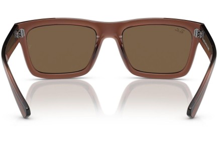 Sončna očala Ray-Ban Warren RB4396 667873 Pravokotna Rjava