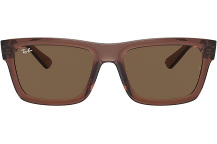 Sončna očala Ray-Ban Warren RB4396 667873 Pravokotna Rjava