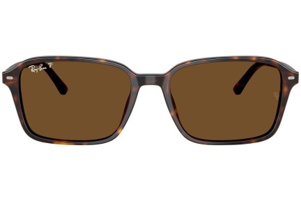 Sončna očala Ray-Ban RB2231 902/57 Polarized Kvadratna Havana