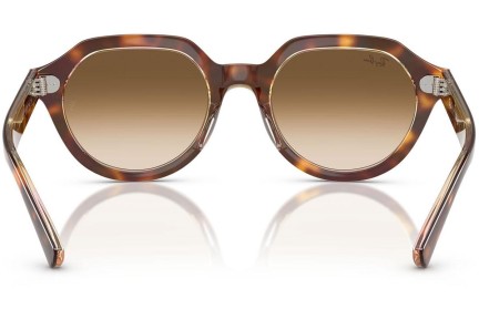 Sončna očala Ray-Ban Gina RB4399 141451 Kvadratna Havana