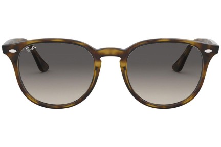 Sončna očala Ray-Ban RB4259 710/11 Kvadratna Havana