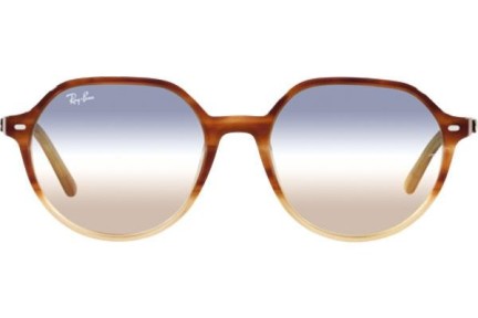 Sončna očala Ray-Ban Thalia RB2195 1328GD Okrogla Havana