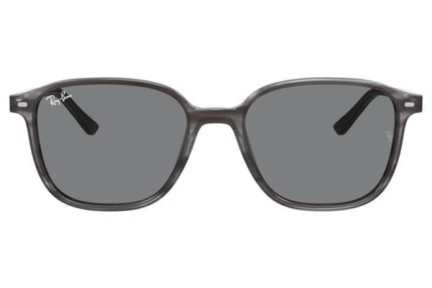 Sončna očala Ray-Ban Leonard RB2193 1314B1 Kvadratna Siva