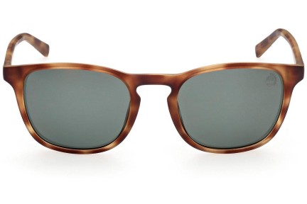 Sončna očala Timberland TB9265 52R Polarized Kvadratna Havana