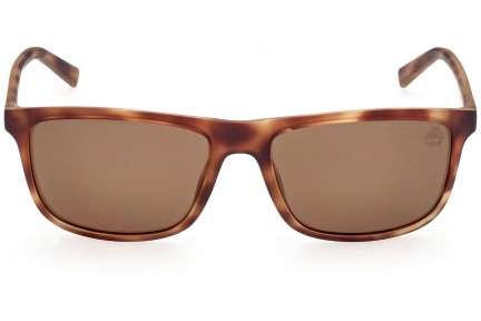 Sončna očala Timberland TB9266 52H Polarized Pravokotna Havana