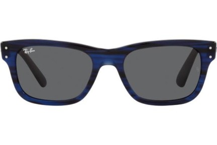 Sončna očala Ray-Ban Mr Burbank RB2283 1339B1 Kvadratna Modra