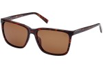 Sončna očala Timberland TB9280-H 52H Polarized Kvadratna Havana