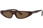 Sončna očala Dolce & Gabbana DG4442 502/73 Pravokotna Havana