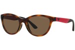 Sončna očala Emporio Armani EK4003 502673 Cat Eye Havana