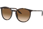 Sončna očala Ray-Ban RB2204 902/51 Okrogla Havana