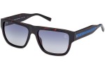 Sončna očala Timberland TB9337 52D Polarized Kvadratna Havana