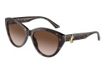 Sončna očala Jimmy Choo JC5007 500213 Ovalna Havana