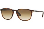 Sončna očala Persol Galleria '900 Collection PO3019S 108/51 Kvadratna Havana