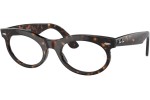 Ray-Ban RX2242V 2012