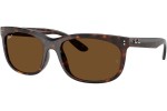 Sončna očala Ray-Ban RB2389 902/57 Polarized Pravokotna Havana